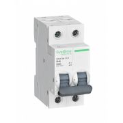 Выключатель автоматический двухполюсный 40А B 4.5kA 230В City9 Set