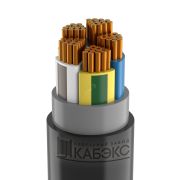 Кабель силовой ВВГнг(А)-LS 5х120(мс) (N.PE)-1 многопроволочный ТРТС